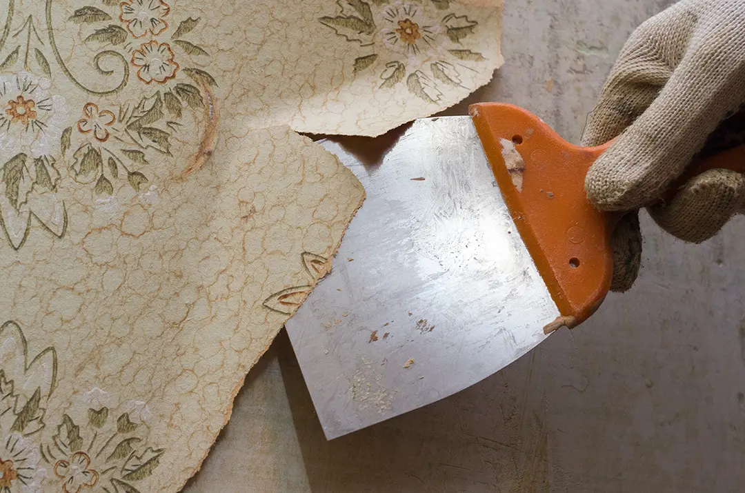 wallpaper removal belleville il