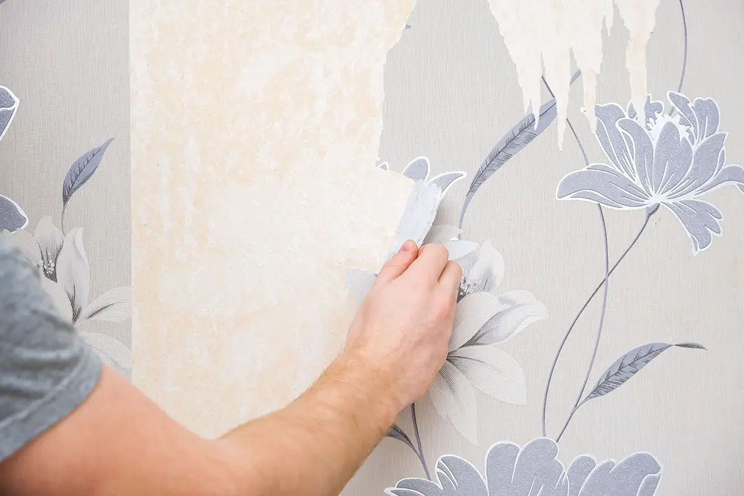 wallpaper removal granite city il