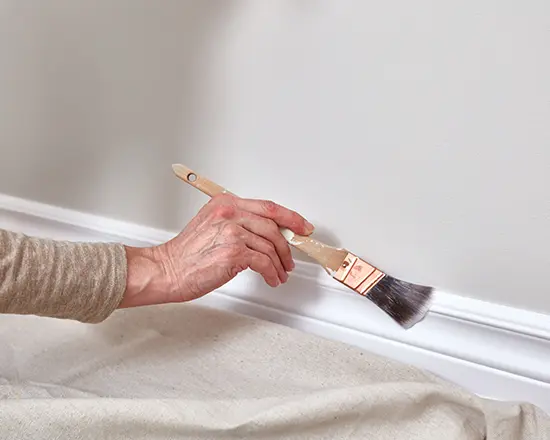 trim and door painting Belleville Illinois