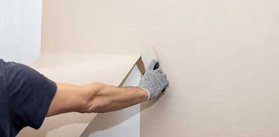 wallpaper removal belleville il